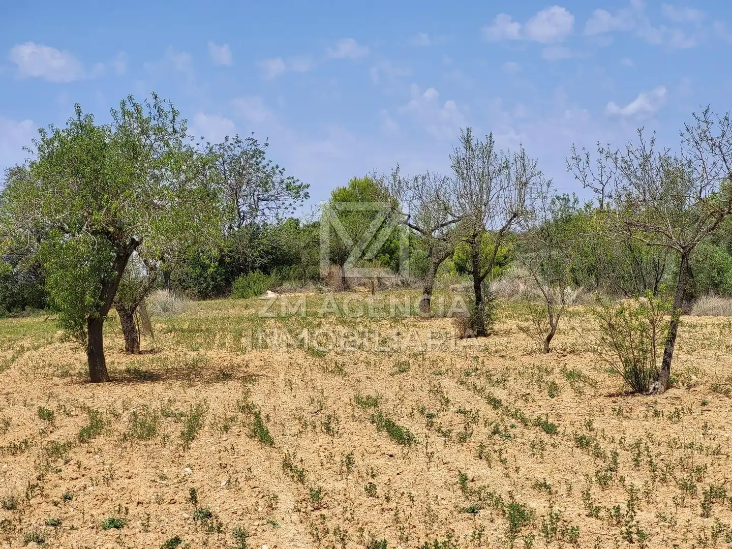 Terreno rustico in vendita a Traiguera, imagen 4