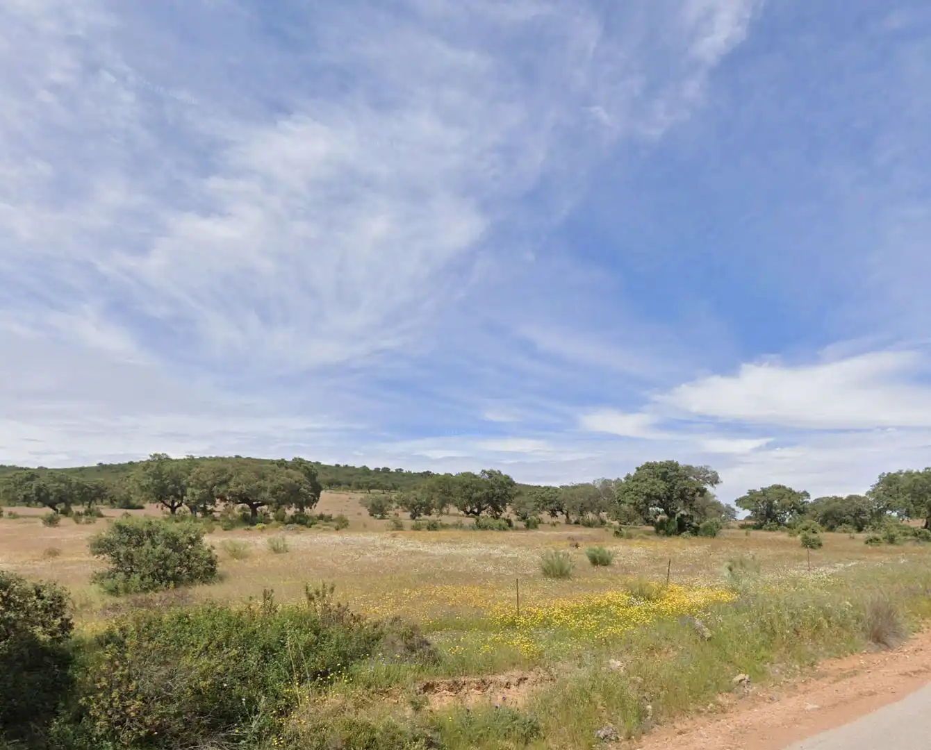 Terreny rústic en venda a Villanueva de la Serena, imagen 3