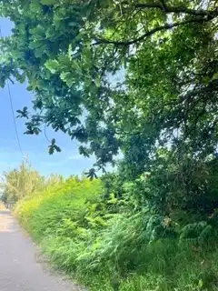 Lands and plots for sale in Santa María de Getxo, imagen 9