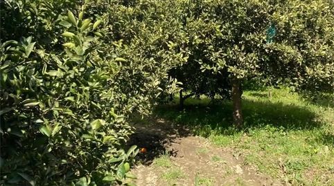 Foto 4 de Finca rústica en venda a Gádor, Almería