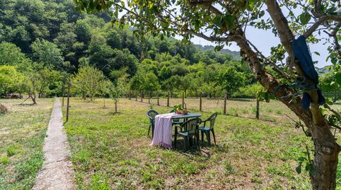 Photo 5 of Houses for sale in Lugar Vera del Camino, 14, Zona Rural, Mieres (Asturias)