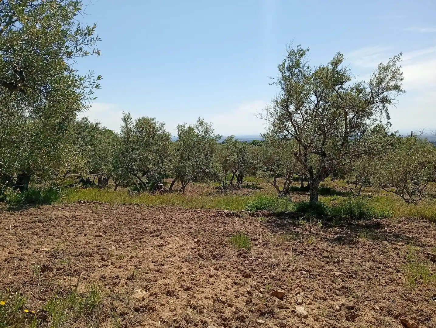 Terreni e lotti in vendita a Villanueva de la Vera, imagen 16