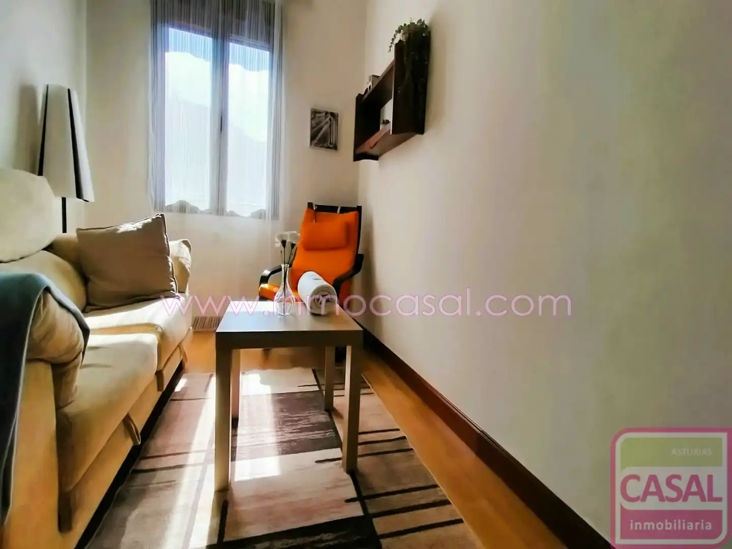 Living room of Flat for sale in Mieres (Asturias)  with Furnished