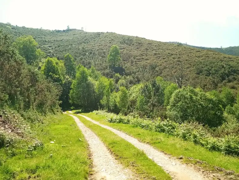 Wohnbaugrundstück zum Verkauf in Cudillero, imagen 42