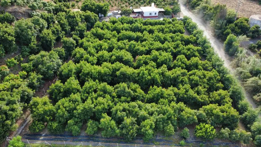 Casa o xalet en venda en Benamocarra amb Jardí privat i Moblat