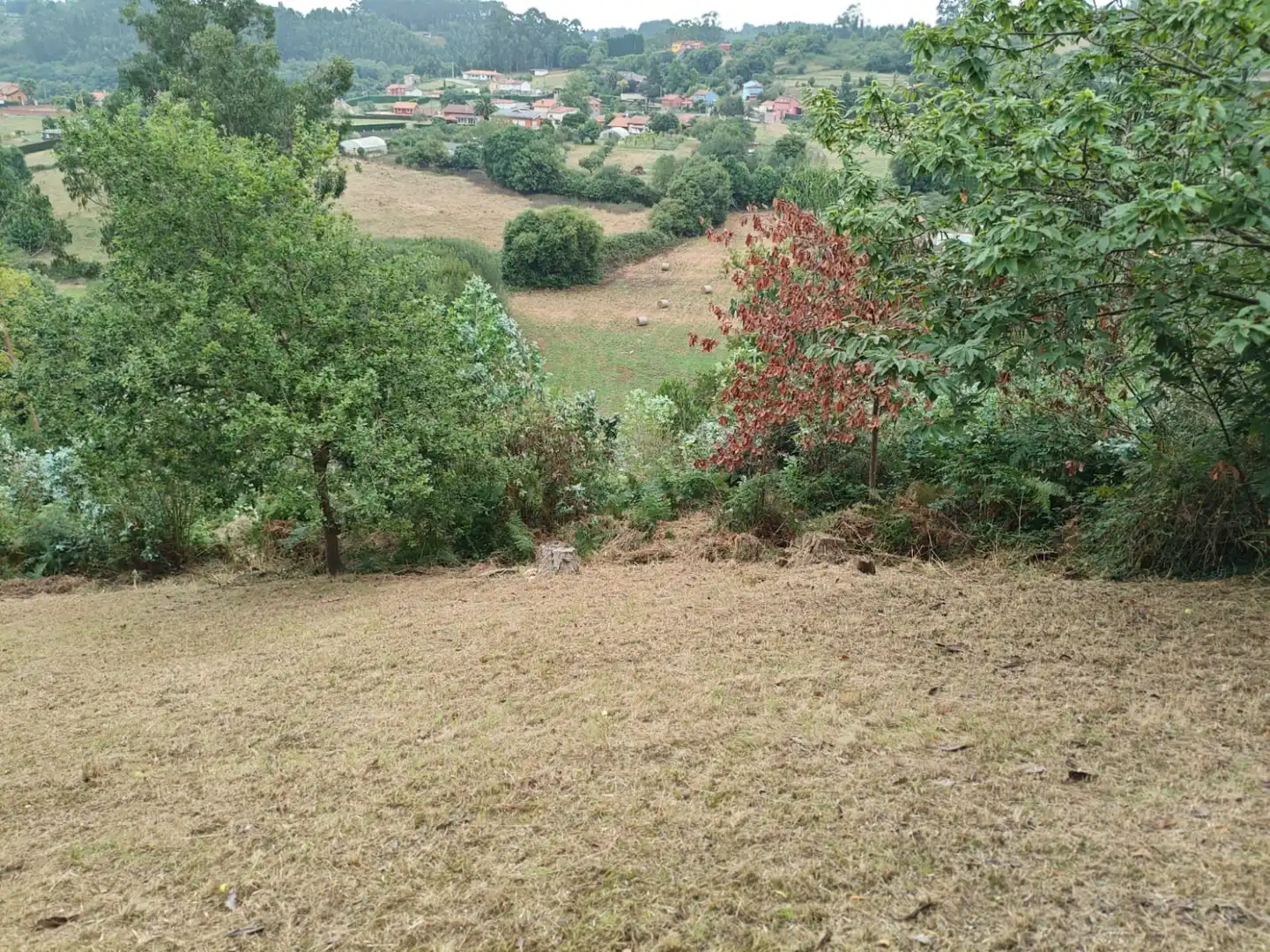 Houses for sale in Castrillón