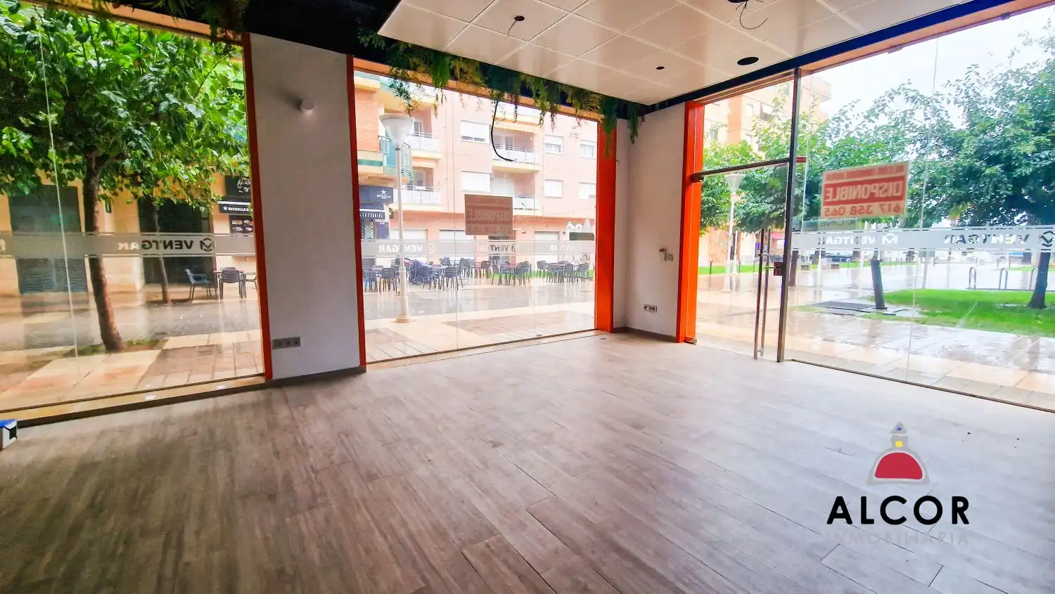 Local comercial en alquiler en Puerto, imagen 5