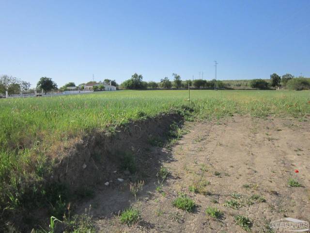 Terreno en Venta en De La Torca en Poleares
