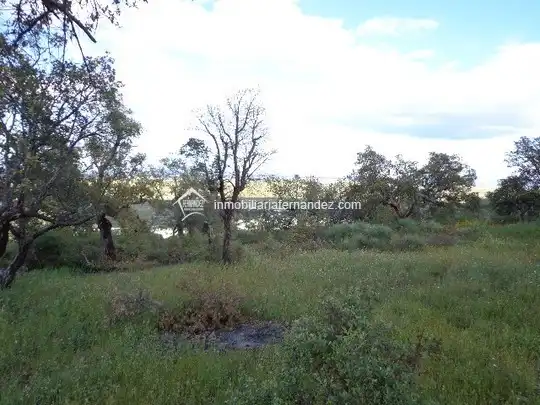 Terreni e lotti in vendita a Sierra de Fuentes, imagen 2