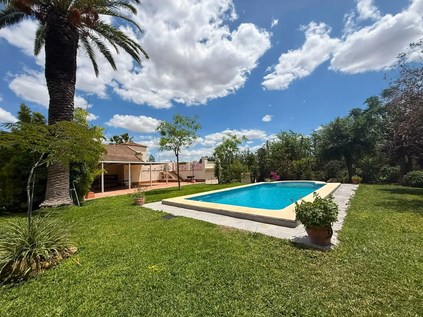 Chalet con piscina en venta en Carretera Olivares, imagen 3