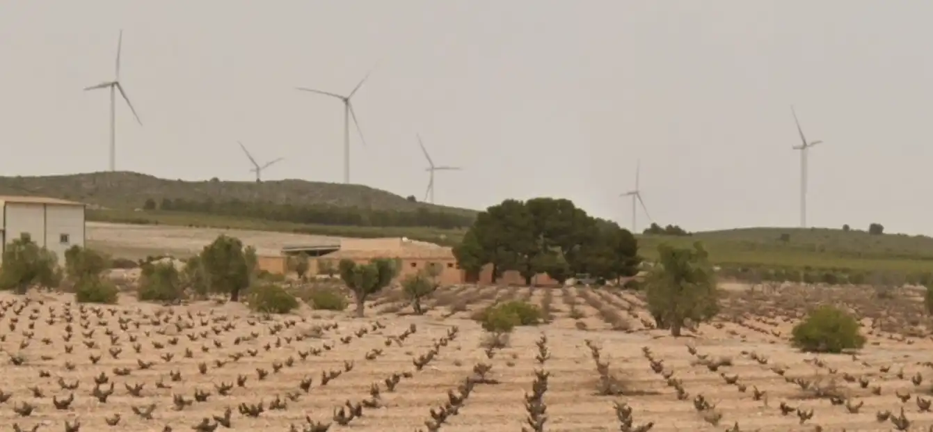Exterior view of Country homes for sale in Jumilla  with Furnished