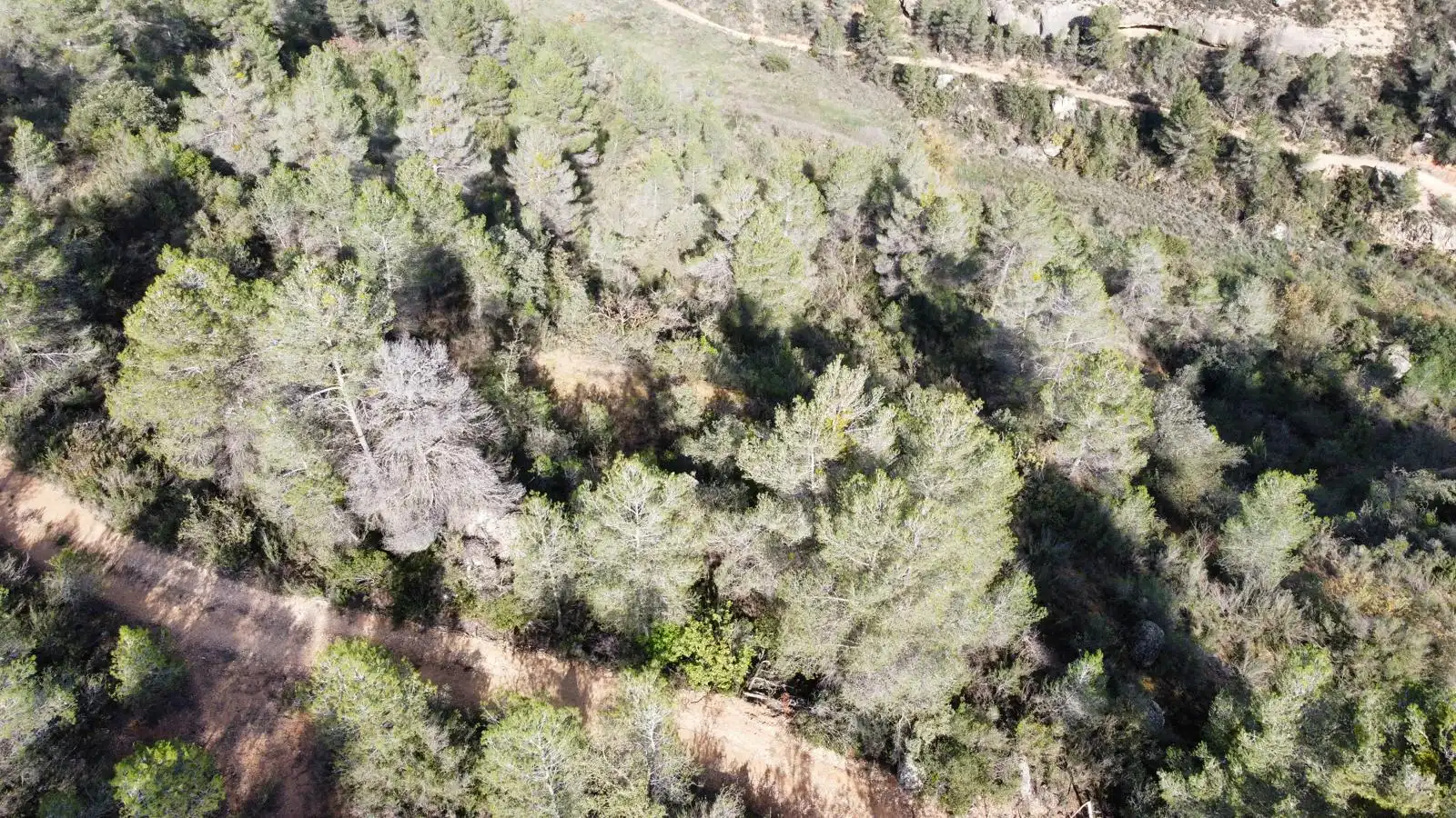 Terreno rustico in vendita a Cervià de Les Garrigues, imagen 18
