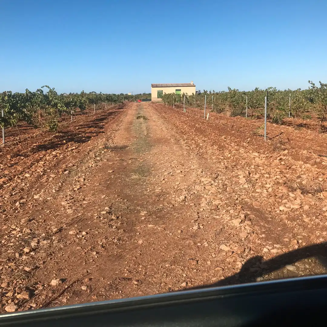 Terreno rústico en venta en Tomelloso, imagen 27