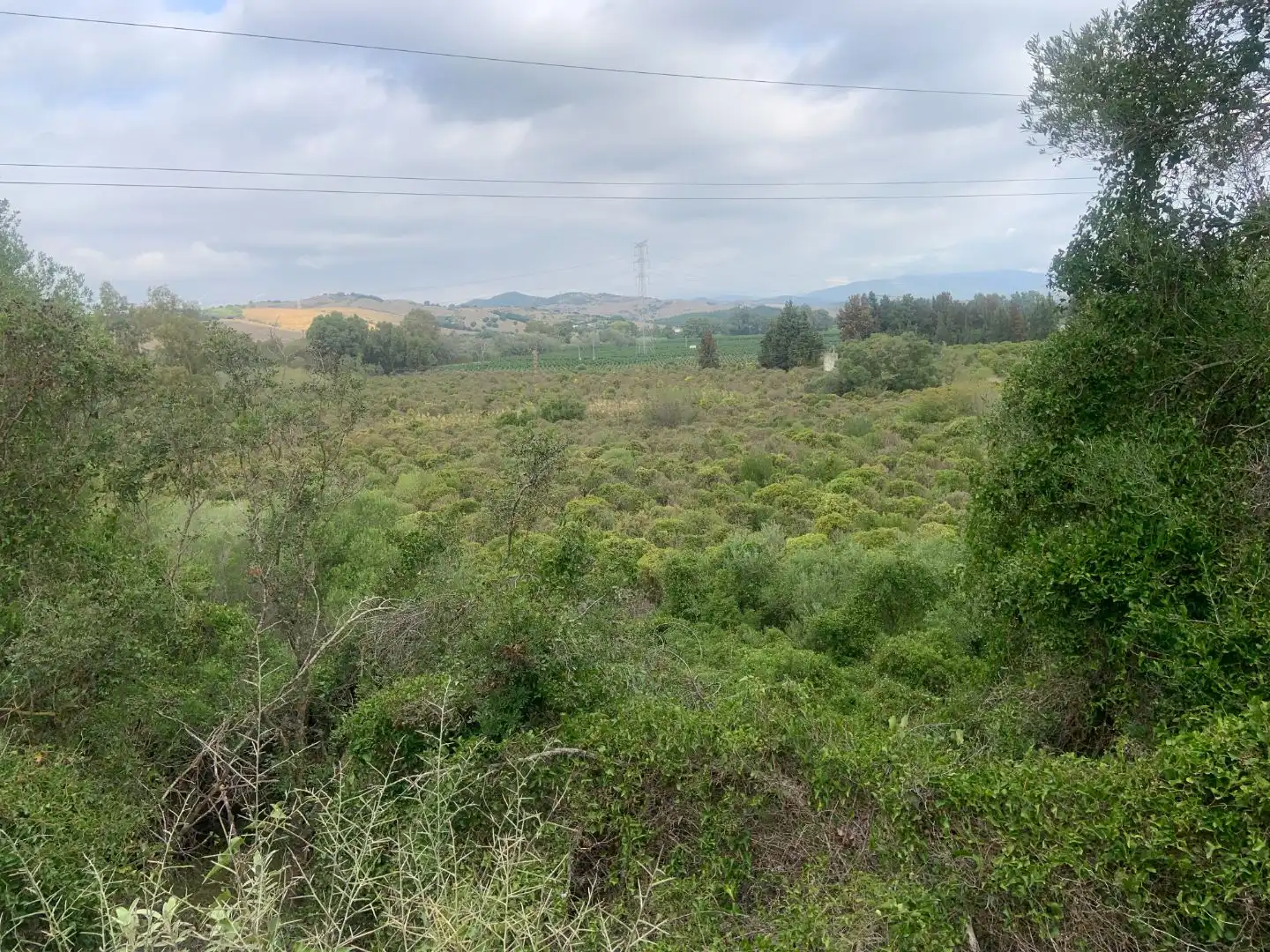 Terreno en venta en Casares