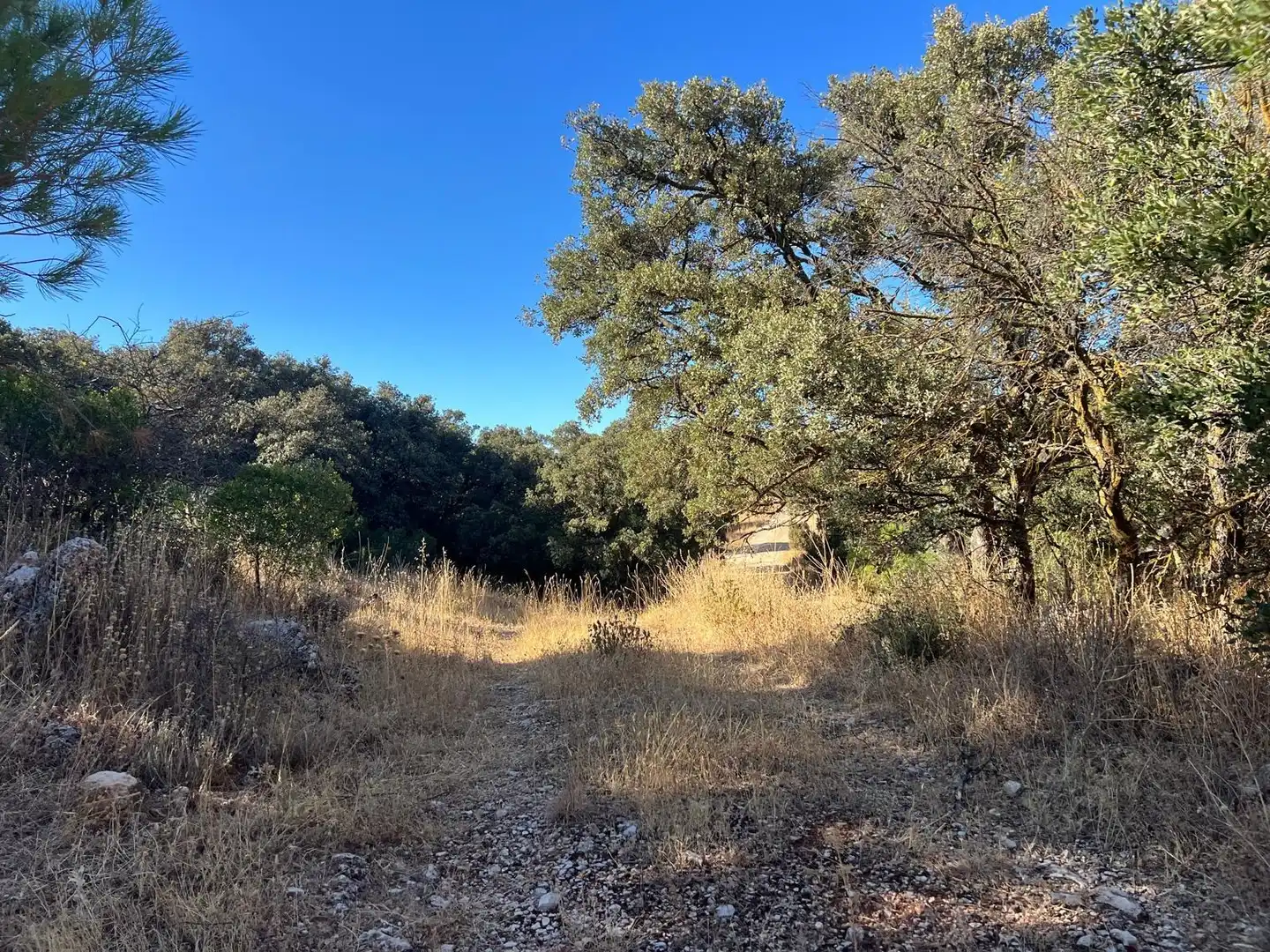 Finca rústica en venda en Antequera