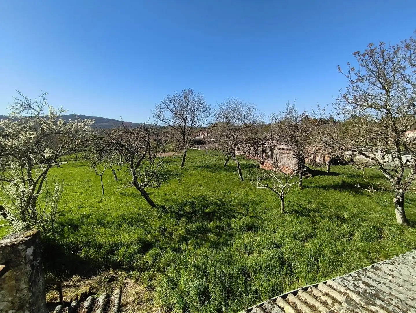 Casa o xalet en venda en Piñor