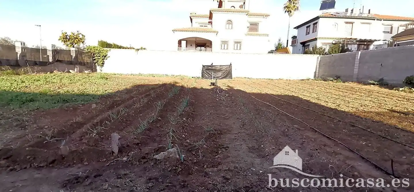 Terreni e lotti in vendita a Linarejos, imagen 7