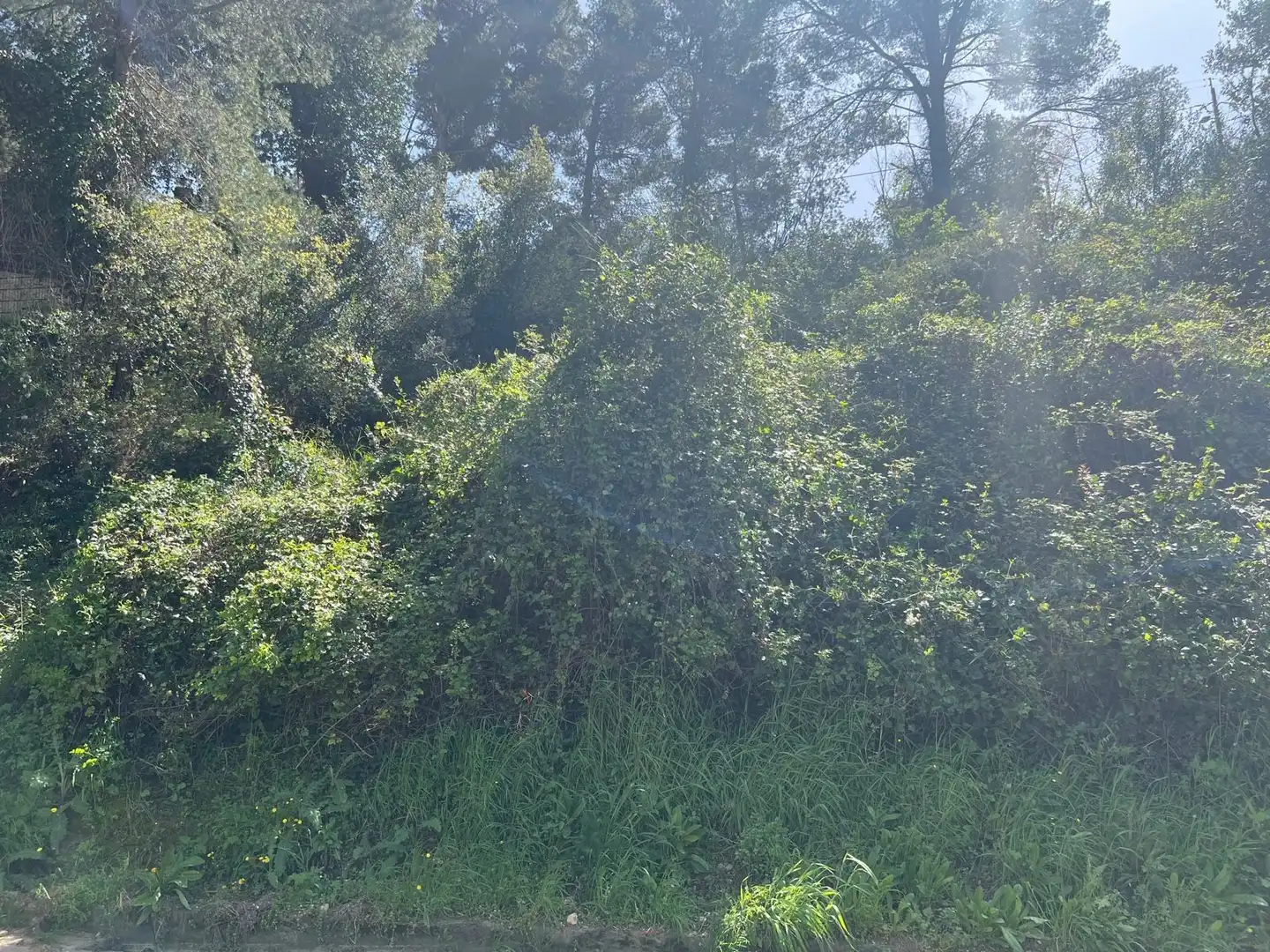 Residential land for sale in Calle BONAVISTA (C CLARAMUNT), imagen 2
