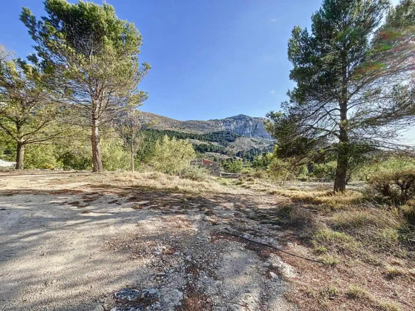 Vista exterior de Finca rústica en venta en Confrides con Aire acondicionado y Jardín privado