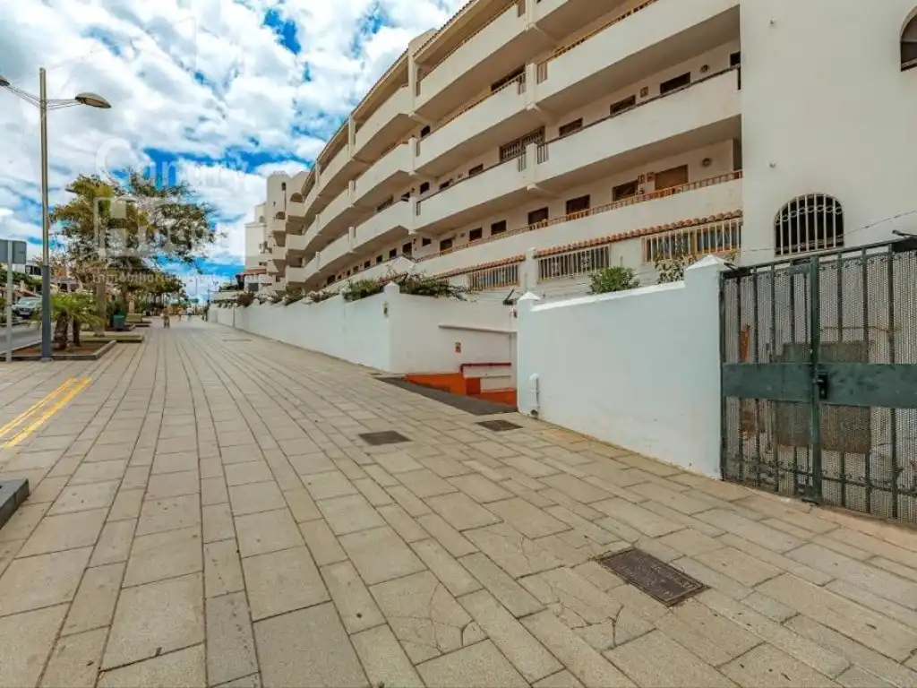 Estudi amb piscina en venda a Avenida España De, imagen 14