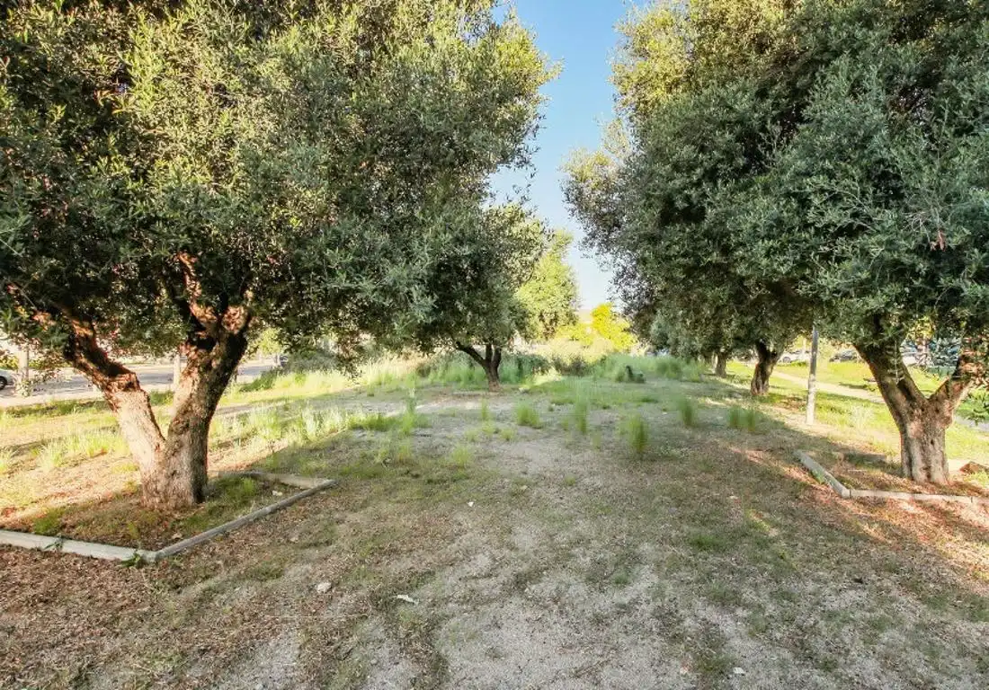 Terreno residenziale in vendita a Carrer Josep Irla Bosch, imagen 11