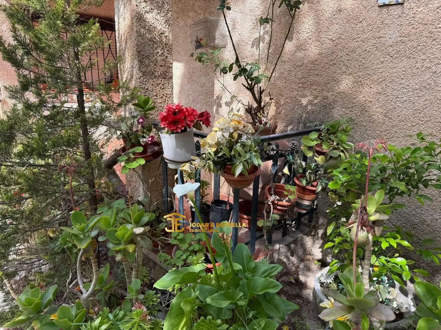 Jardín de Casa o chalet en venta en Lorca con Terraza, Trastero y Amueblado