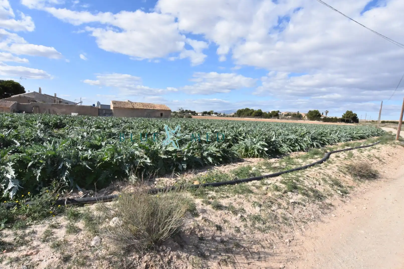 Maison rustique avec jardin à vendre à Mazarrón Casco Urbano, imagen 19