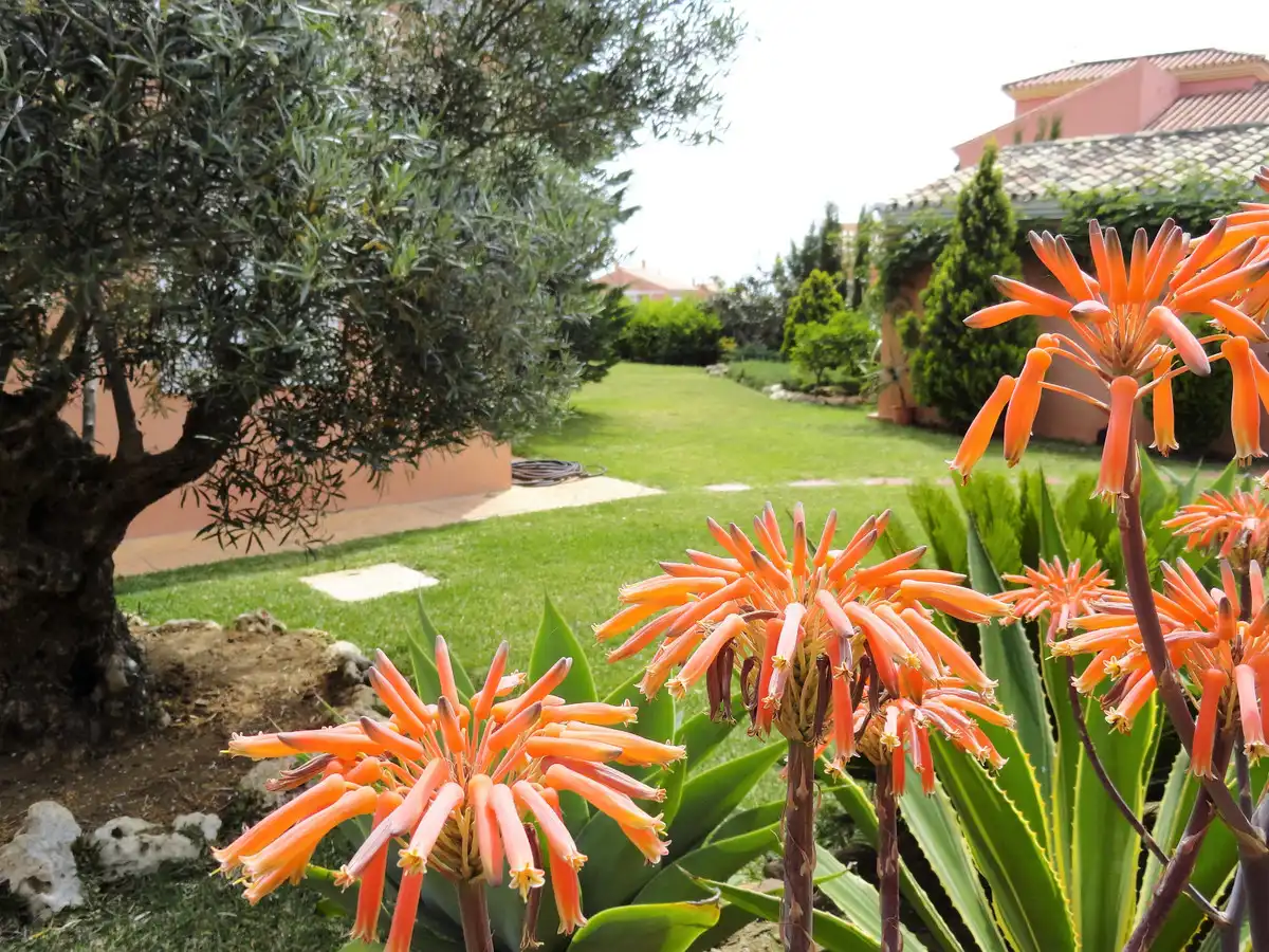 Casa amb piscina en venda a Estepona Pueblo, imagen 41