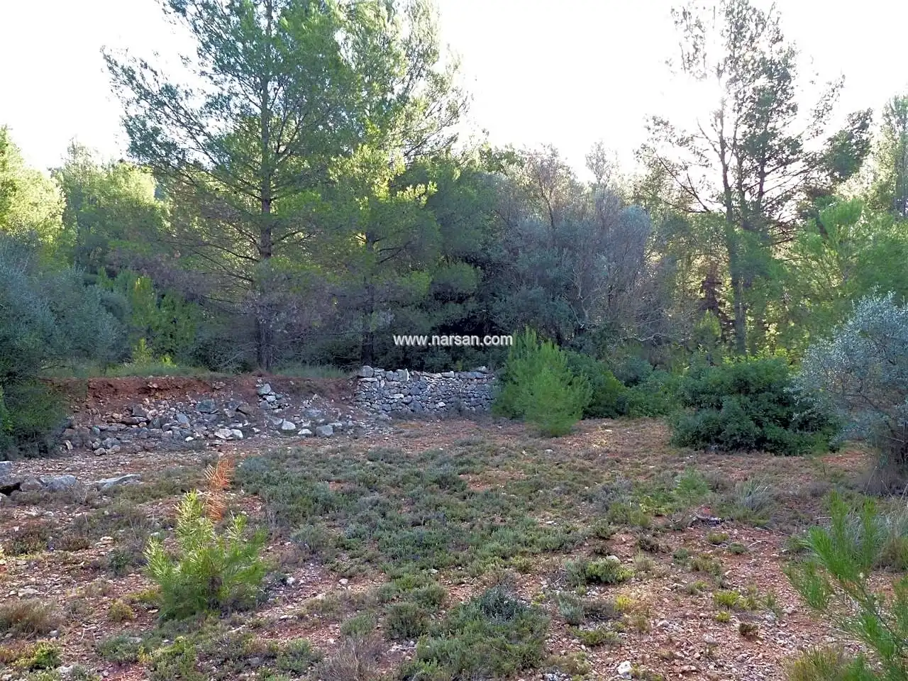 Terrain rustique à vendre à La Pobla de Tornesa, imagen 6