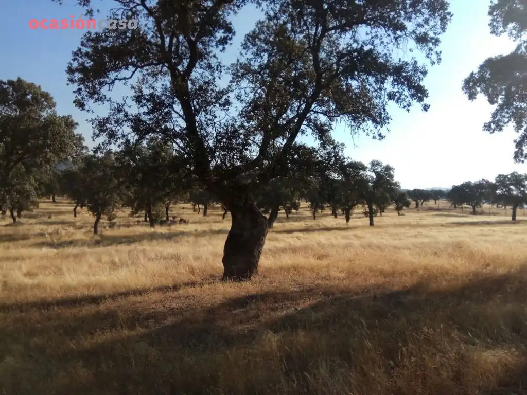 Country homes for sale in Torrecampo