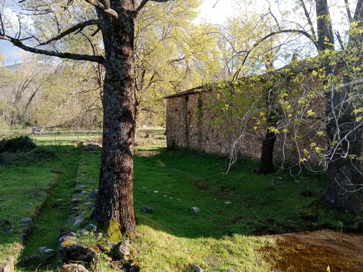 Jardín de Terreno en venta en El Torno 