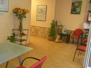 Local comercial en venta en Elche ciudad