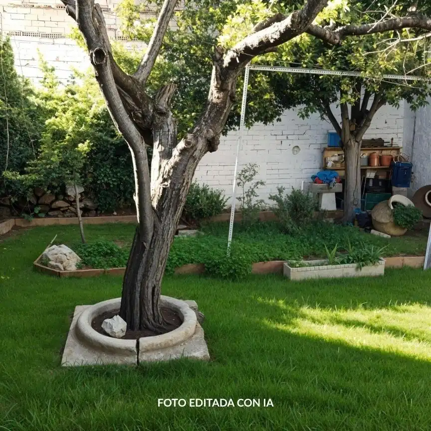 Maison à vendre à La Roda