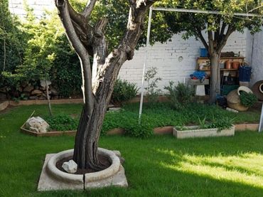 Maison à vendre à La Roda