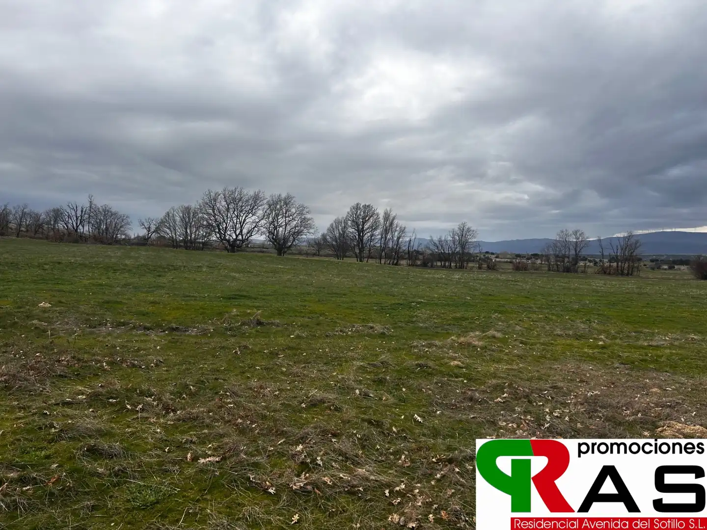Terreni e lotti in vendita a Calle Poligono 007 5076