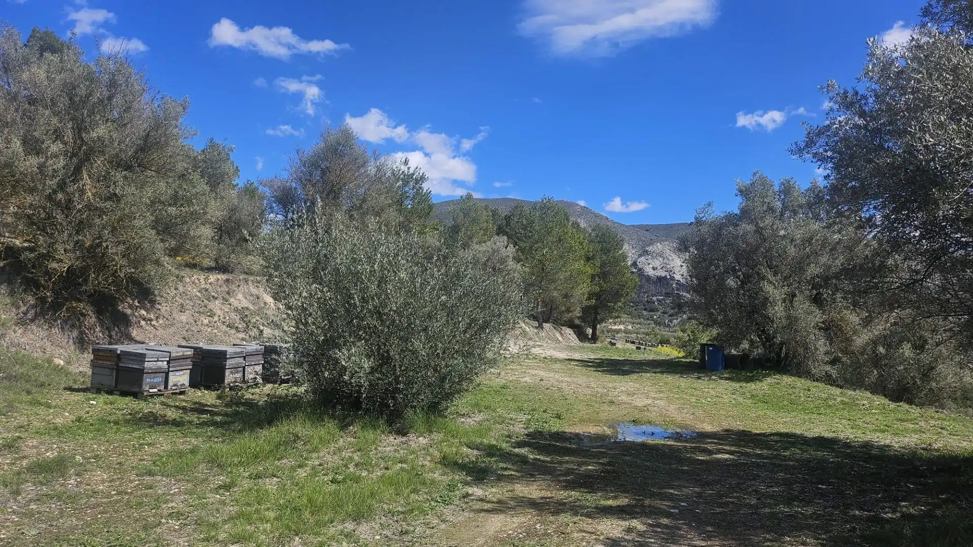 Terrain rustique à vendre à Millena, imagen 8