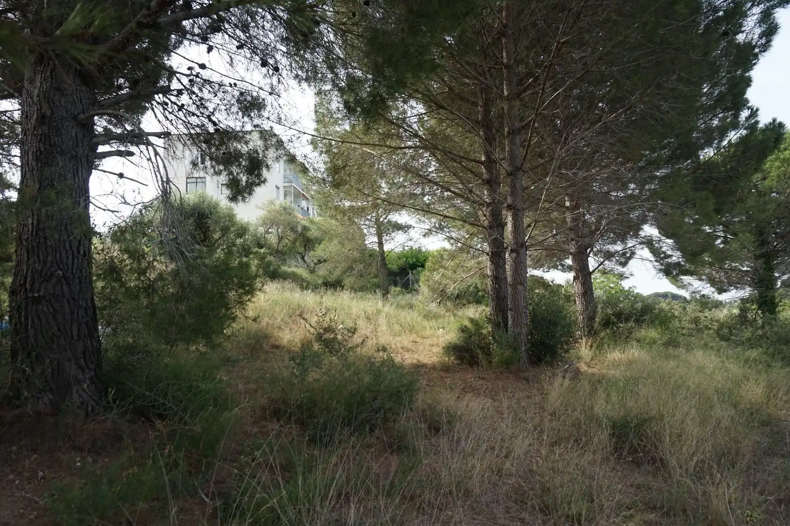 Maison rustique à vendre à Les Borges del Camp, imagen 9