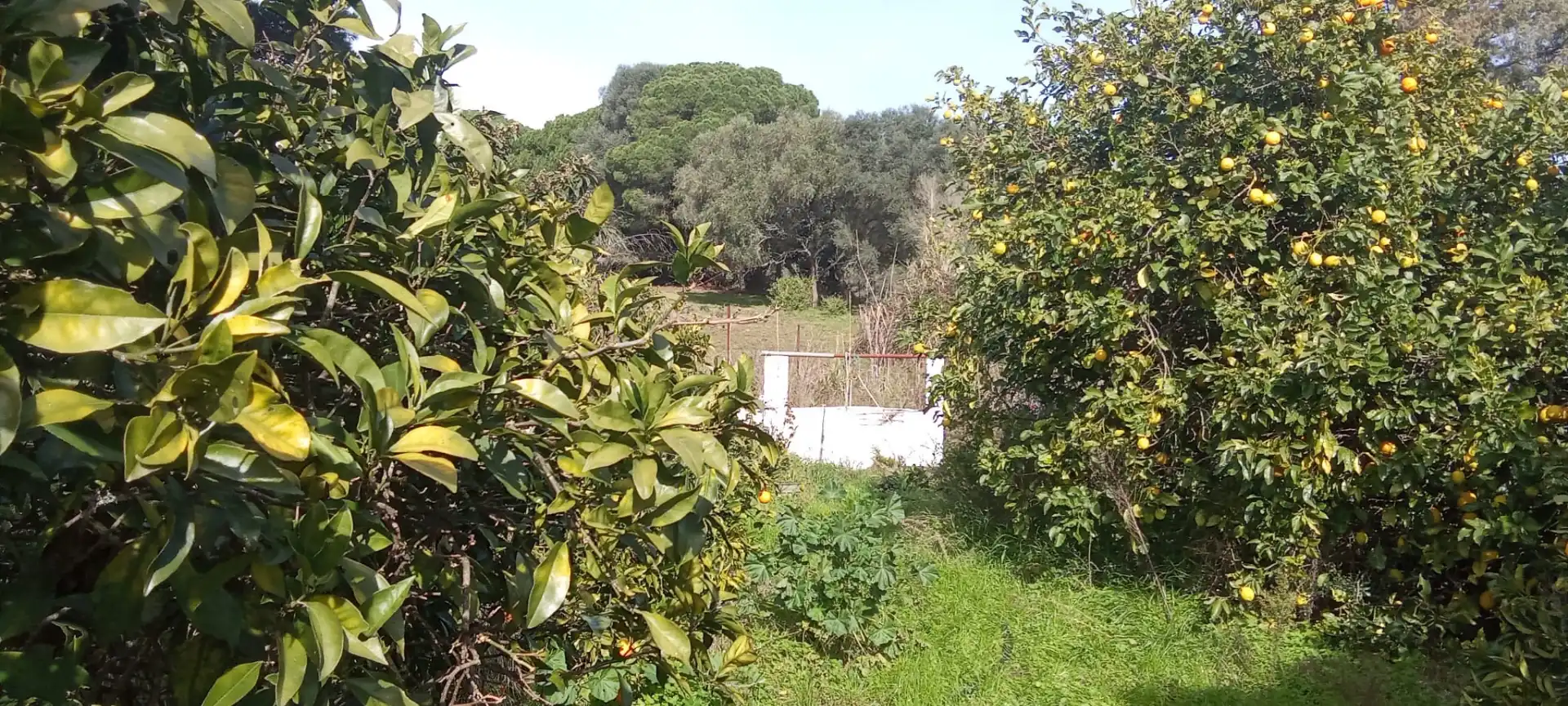 Casa rústica en venda a Vejer, imagen 28