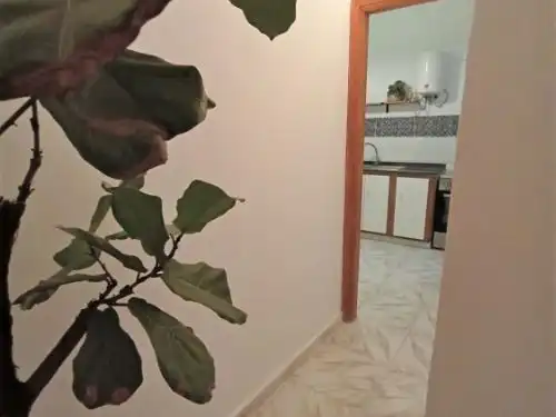 Kitchen of Apartments for rent in Las Palmas de Gran Canaria  with Furnished and Washing machine