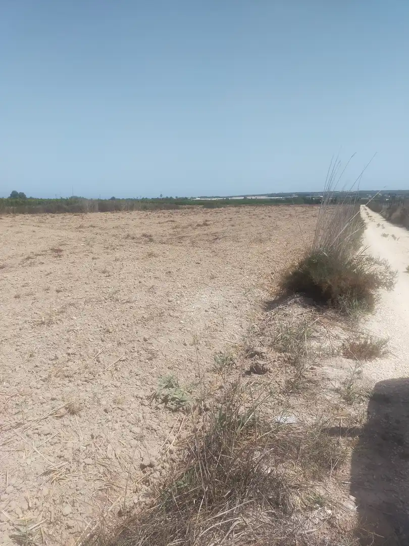 Terrain rustique à vendre à La Foia - Daimés - Asprella, imagen 11