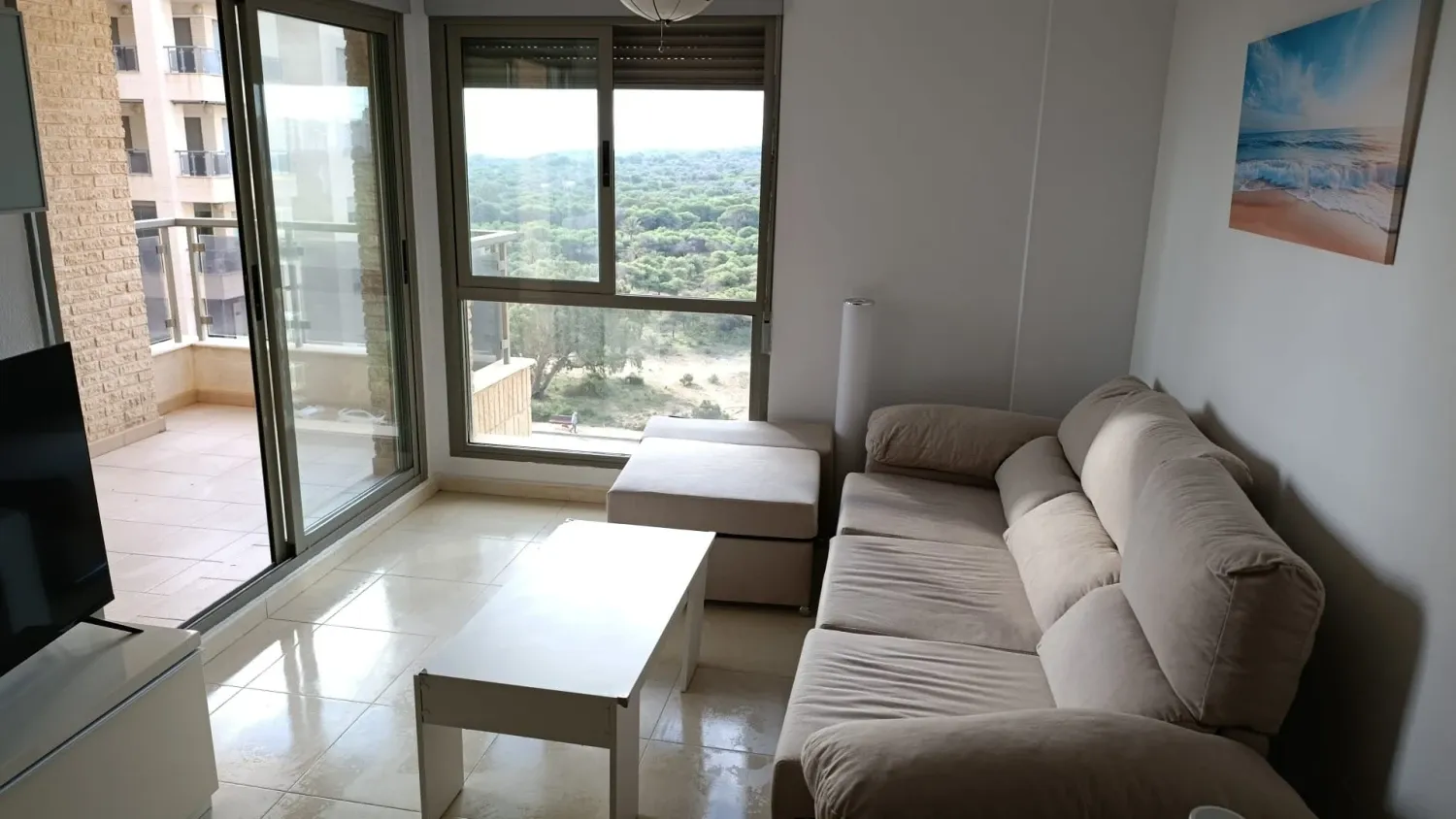 Living room of Flat to rent in Guardamar del Segura  with Terrace, Swimming Pool and Furnished