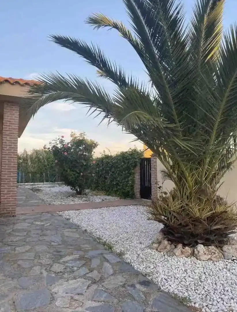 Jardí de Casa o xalet en venda en Lucillos amb Aire condicionat, Traster i Moblat