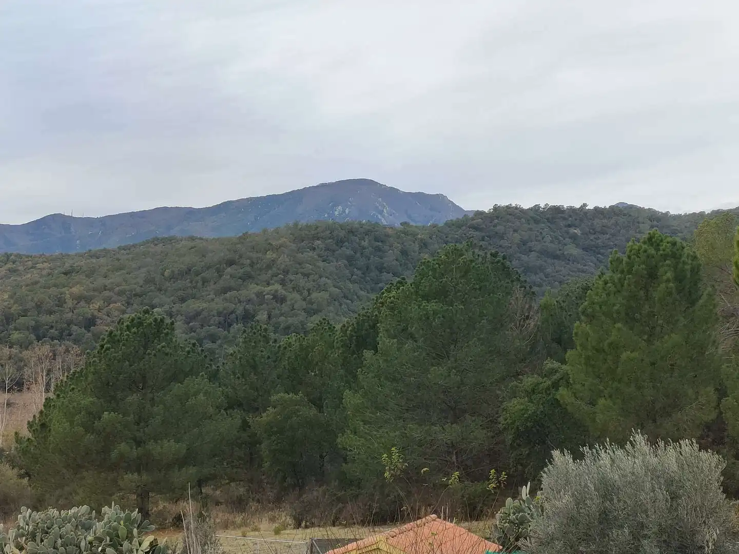 Casa o xalet en venda en Sant Feliu de Buixalleu amb Aire condicionat, Calefacció i Terrassa