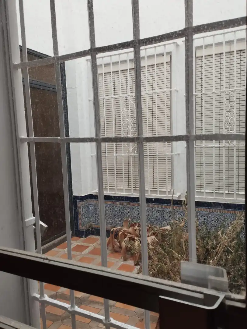 Pis amb terrassa en venda a Plaza Nueva, imagen 28