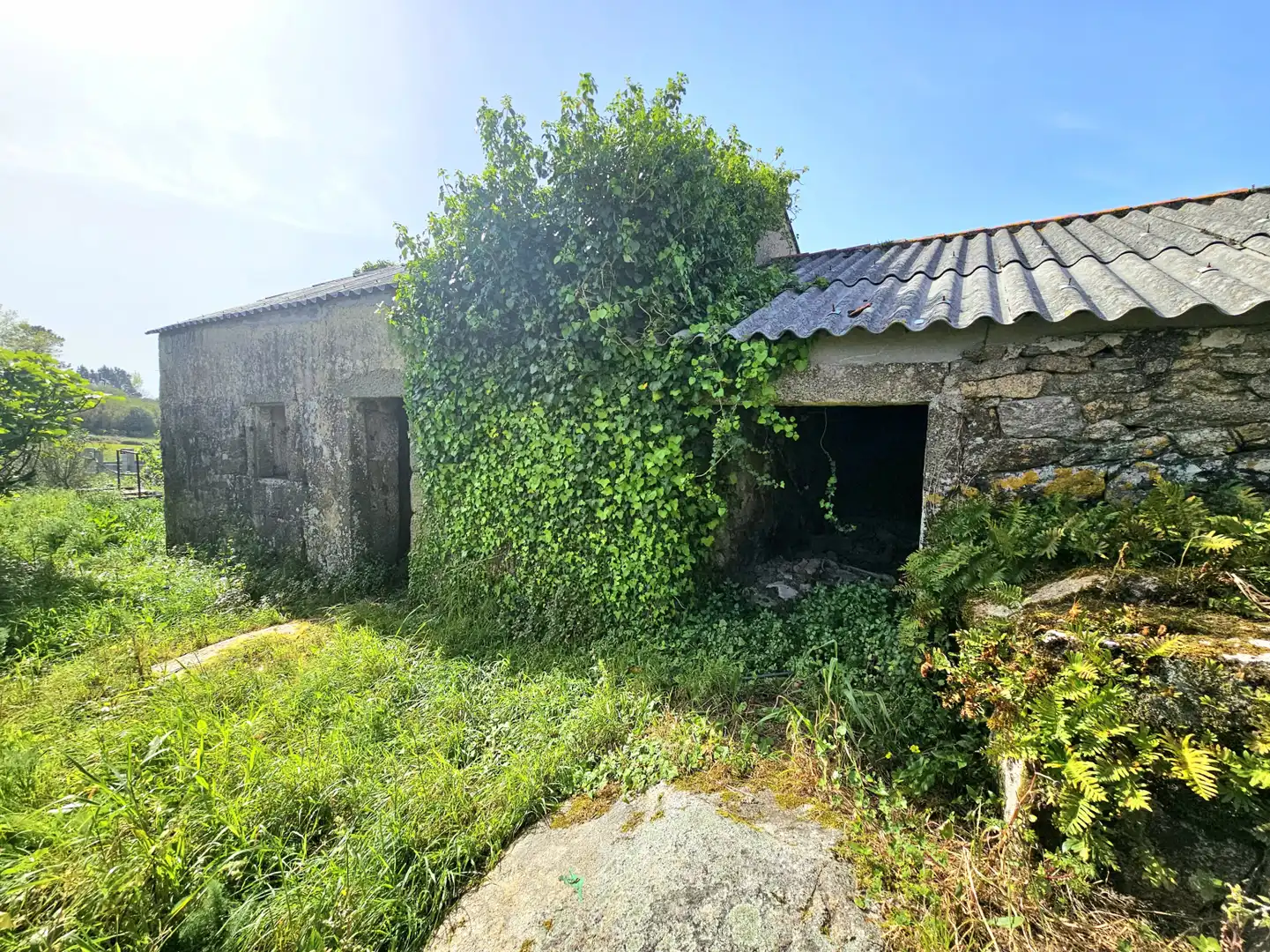 Vista exterior de Casa o xalet en venda en Ribeira amb Jardí privat