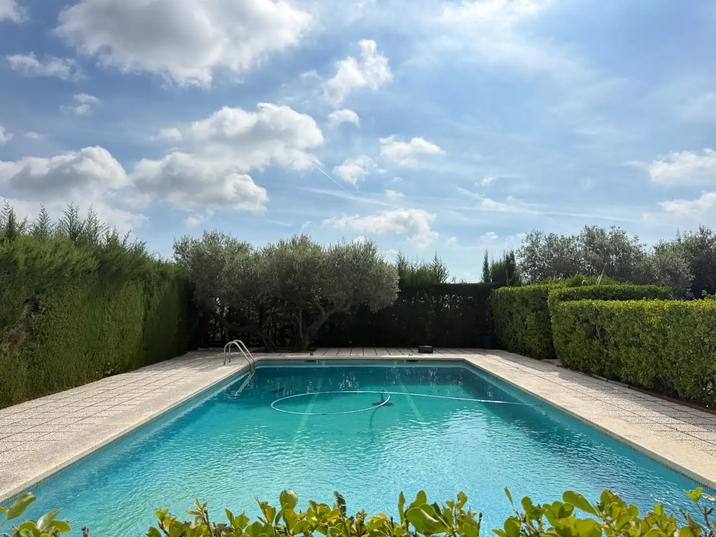 Swimming pool of Houses for sale in Botarell, Tarragona