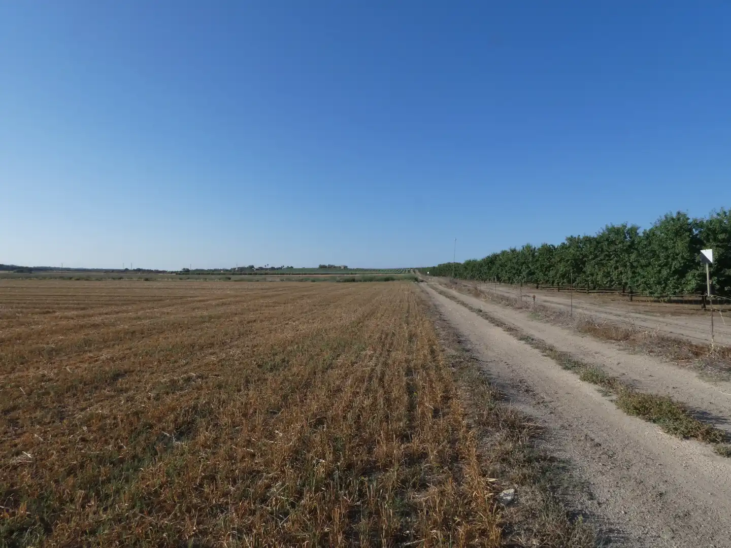 Terreno rustico in vendita a Vilafranca de Bonany, imagen 7