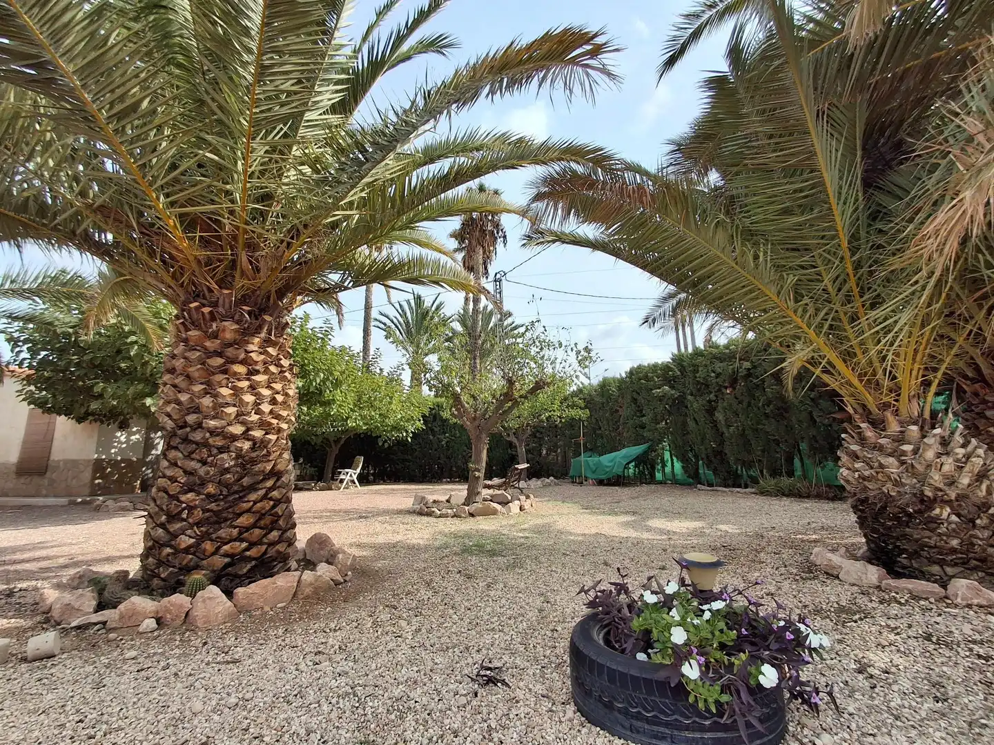 Jardín de Casa o chalet en venta en Novelda con Aire acondicionado, Calefacción y Jardín privado