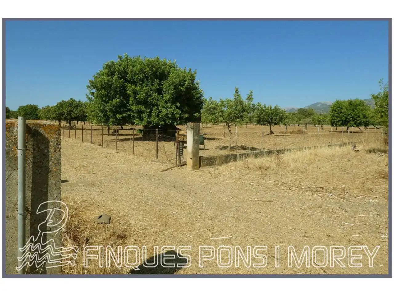 Finca rústica en venda en Campanet