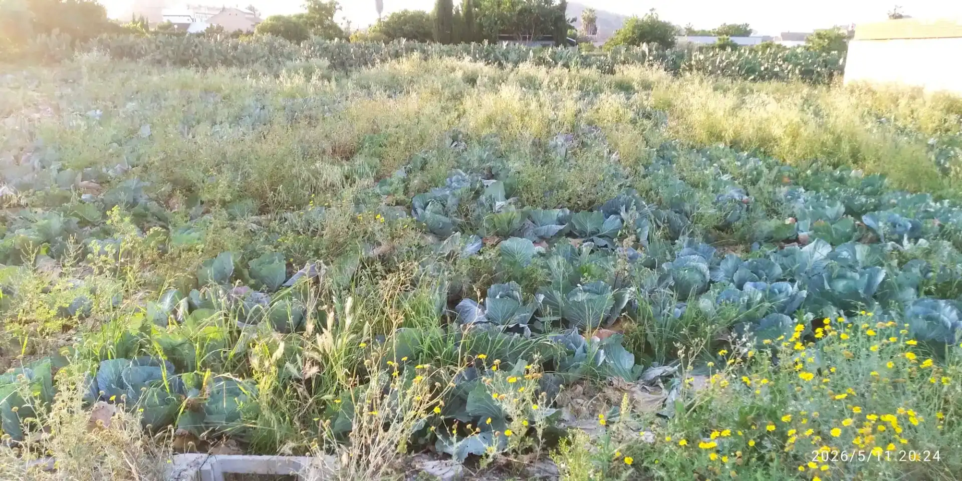 Grundstücke zum Verkauf in Murcia